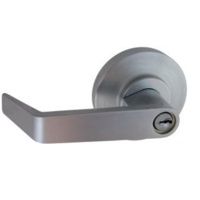 Exit Device Locks