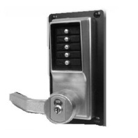 Exit Device Locks