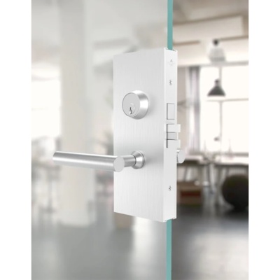 Qualified Special Order Glass Patch Mortise Lock for Swinging Doors Special Orders